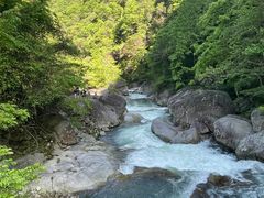 -炎陵县神农谷国家森林公园