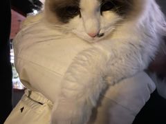 -咖法森林·咖啡  酒吧(天河店)