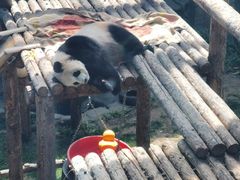 -大连森林动物园