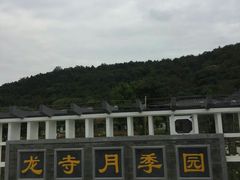 -龙寺生态园