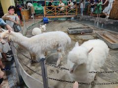 -上海昆虫博物馆