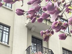 -上海来福士广场