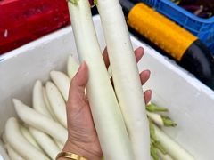 -细村农贸综合市场