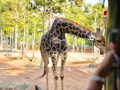 -清迈夜间动物园