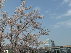 -映月湖中央公园