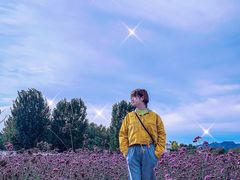 -北京东方普罗旺斯薰衣草庄园