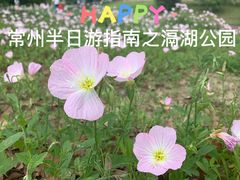 -滆湖低碳生态公园