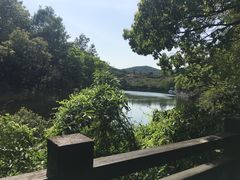 -白马涧龙池景区