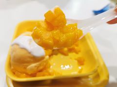 双色雪球-芬芳甜品(东风西路店)
