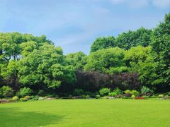 -上海共青森林公园