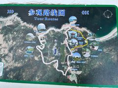 -广东惠东海龟国家级自然保护区