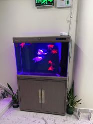 -海涛医疗美容·面部抗衰·注射美鼻