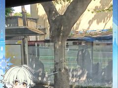-半岛宠物医院24小时(科华中路店)