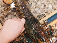 -船歌·鱼水饺青岛菜(闽江二路店)