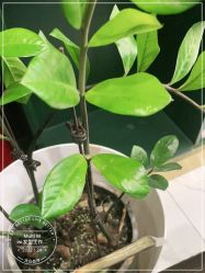 点击看大图 -悦Salon发型设计