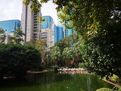 -九龙公园