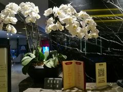 -榛悦隆堡成都酒店(春熙路太古里店)
