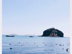 -棒棰岛宾馆景区