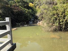 -广州市帽峰山景区