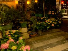 -园林美食城·本土农家菜(杨和镇店)