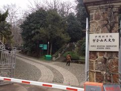 -紫金山天文台