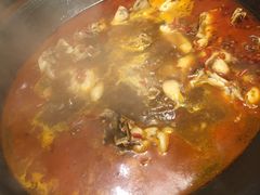 -老天桥蛙炉火锅(姑苏总店)