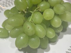 -耶里夏丽·丝路新疆菜·清真食品(徐汇南丹东路臻选店)