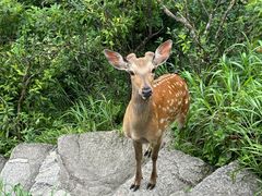 -萍乡武功山风景名胜区