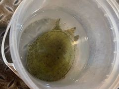 -粮心小农·大头虾亲子生态园(长发店)