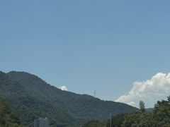 -芦茨金富饭庄·25年老字号·专做稻草鸡
