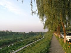 -洨河生态公园
