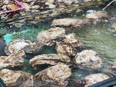 -大茄来海鲜餐厅(亚洲城分行)