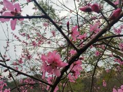 -重庆彩云湖湿地公园