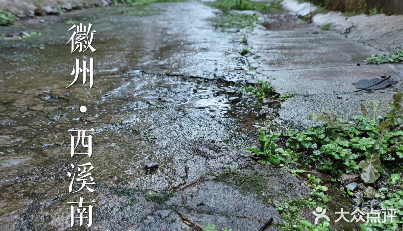 【西溪南】距离黄山市超近的徽州古村落，处处充满生机