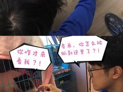 -浣熊柯尔鸭土拨鼠·电玩咖