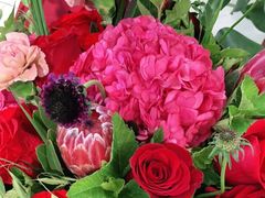 -新世界大丸百货