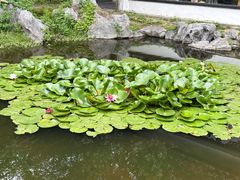 -日出青木·杭帮菜名店