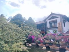 -云南民族村