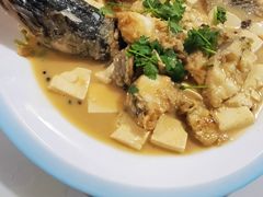 -煲来饱去冷水鱼