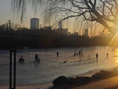 -丁香湖公园