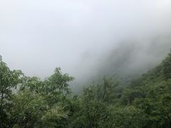 -阳台山自然风景区