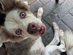 -豆舞咖啡(民乐路店)