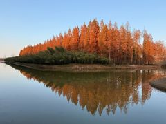 -黄海国家森林公园
