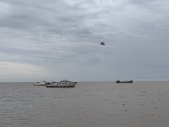 -平湖九龙山旅游度假区