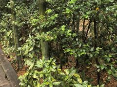 -天目湖御水温泉·度假酒店