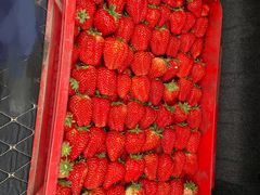 -西郊国际农产品交易中心