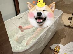 -浙江安吉JW万豪酒店·万豪中餐厅