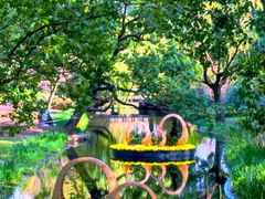 -上海共青森林公园