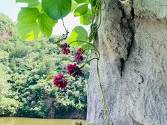 -双新垂钓园