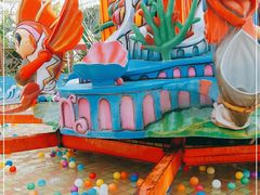 -南宫五洲植物乐园